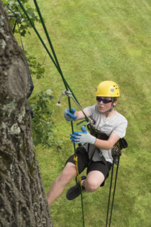 Teenage boy (16-17) tree climbing
Meadows of Dan, Virginia, USA
