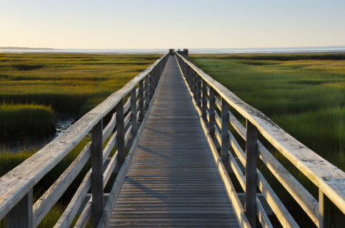 Empty boardwalk at Grays Beach
Yarmouthport, Cape Cod, Massachusetts, USA