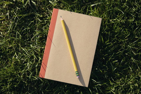 Overhead view of pencil and notebook on grass