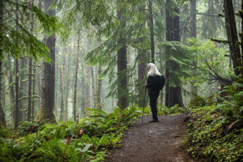 USA, Oregon, Cannon Beach, Senior female hiker on coastal trail through redwood forest