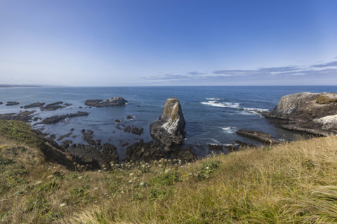USA, Oregon, Newport, Rocks and wildflowers at Yaquina Head Outstanding Natural Area