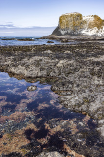 USA, Oregon, Newport, Rocky coast at Yaquina Head Outstanding Natural Area