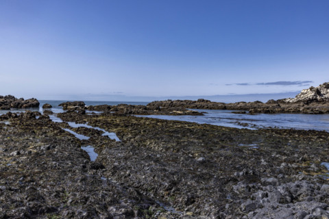 USA, Oregon, Newport, Rocky coast at Yaquina Head Outstanding Natural Area