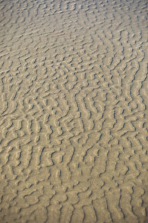 Sand patterns on beach