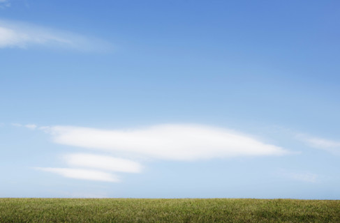 Field of grass and blue sky