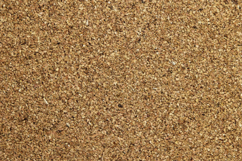 Close-up of blank cork board