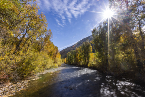 USA, Idaho, Hailey, Big Wood River and sun shining through trees with fall foliage