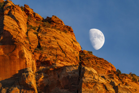 USA, Utah, Springdale, Half moon rising above sandstone cliffs near Zion National Park