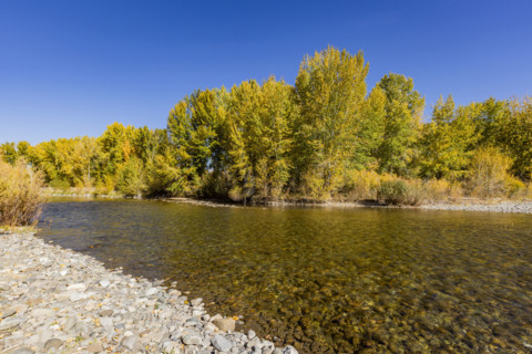 USA, Idaho, Bellevue, Calm Big Wood River in autumn