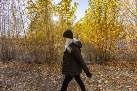 USA, Idaho, Bellevue, Woman walking in forest in autumn