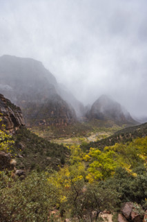 USA, Utah, Zion National Park, Gray clouds covering Zion Canyon during snowstorm