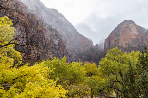 USA, Utah, Zion National Park, Trees and rock formations at Zion Canyon during snowstorm