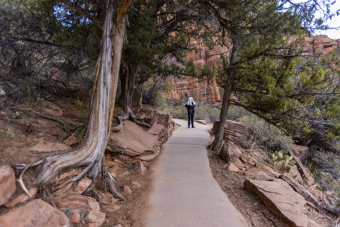 USA, Utah, Zion National Park, Senior blond hiker on hiking path to Angels Landing