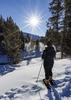 Rear view of woman snowshoeing in landscape on sunny day. Sun Valley, Idaho, USA.