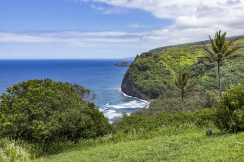 Green tropical island and sea. Kona, Hawaii, USA.