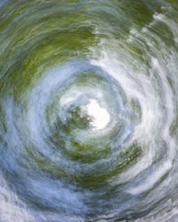 Spiral motion blur image looking upwards at trees and sky. Bellevue, Idaho, USA.