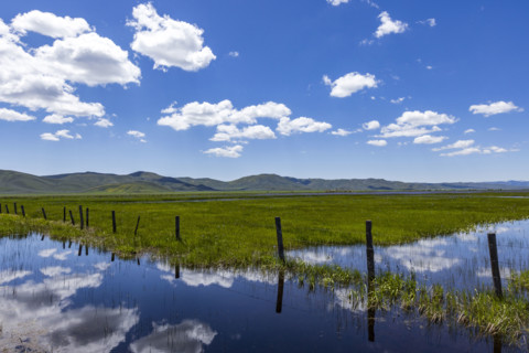 Camas Prairie wetlands in Spring. Fairfield, Idaho, USA.