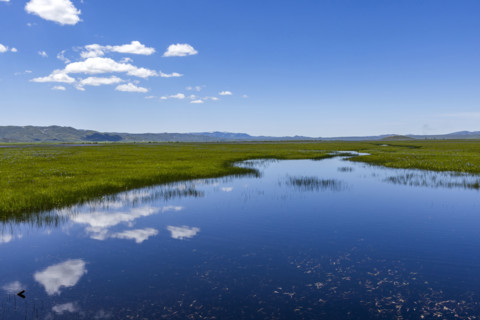 Camas Prairie wetlands in Spring. Fairfield, Idaho, USA.
