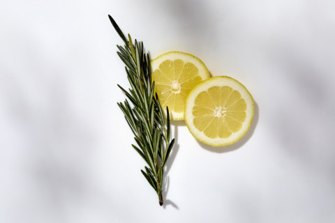 Rosemary and sliced lemon on white background. New York City, New York State, USA.