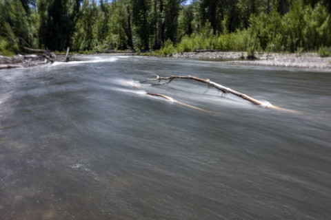 Bare branch in river, motion blurred. Bellevue, Idaho, USA.