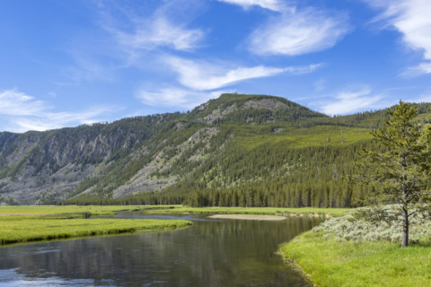 Madison River and mountains on sunny day. , Wyoming, USA.