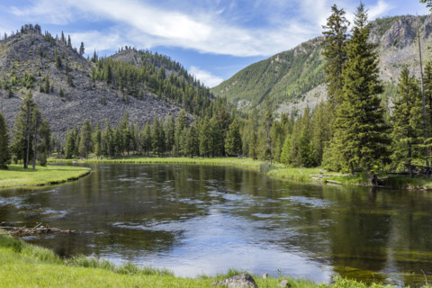 Madison River and mountains on sunny day. , Wyoming, USA.