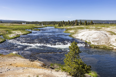 Firehole River on sunny day. , Wyoming, USA.