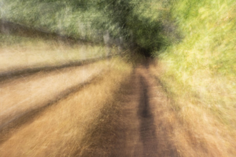 Rail fence along path to forest, motion blurred. Bellevue, Idaho, USA.