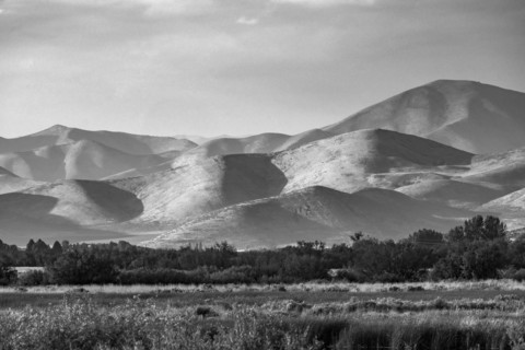 Fields and hills in late afternoon light, black and white. Bellevue, Idaho, USA.