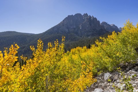 Fall colors in Sawtooth Mountains on sunny day. Stanley, Idaho, USA.