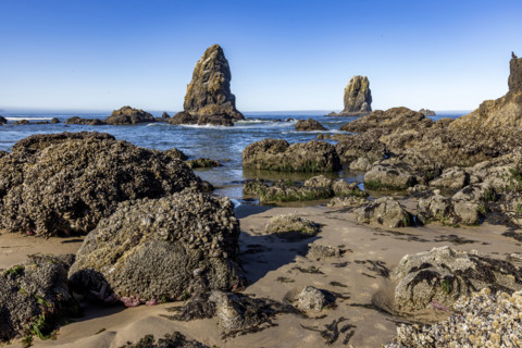 Cannon Beach rock formations at low tide. , Oregon, USA.