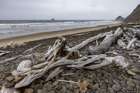 Driftwood and pebbles on empty beach. , Oregon, USA.