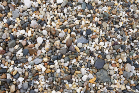 Close-up of pebbles on beach. Nantucket, Massachusetts, USA.
