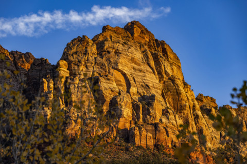 Majestic sandstone cliffs at sunset. , Utah, USA.