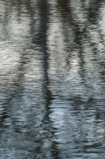 Rippled surface of spring creek with reflections. Bellevue, Idaho, USA.
