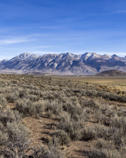 Field with Big Lost Range in distance. Mackay, Idaho, USA.