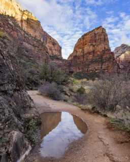Rain puddle with Angels Landing rock formation in background. , Utah, USA.