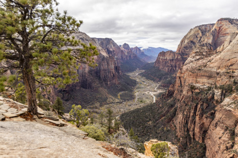 View into Zion Canyon from Angels Landing. , Utah, USA.