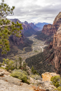 View into Zion Canyon from Angels Landing. , Utah, USA.