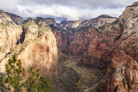 View into Zion Canyon from Angels Landing. , Utah, USA.