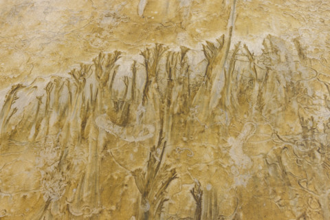 Abstract patterns on beach sand. , Guanacaste, Costa Rica.