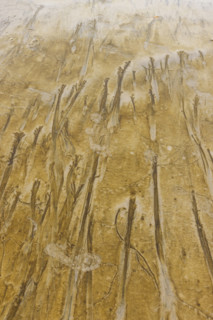 Abstract patterns on beach sand. , Guanacaste, Costa Rica.