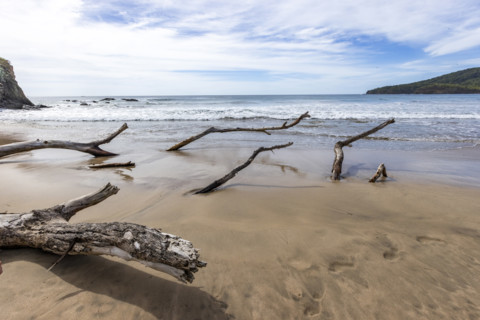 Driftwood and sea waves on empty beach. , Guanacaste, Costa Rica.
