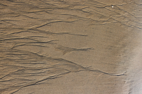Abstract patterns on beach sand. , Guanacaste, Costa Rica.