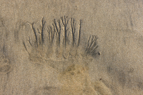 Abstract patterns on beach sand. , Guanacaste, Costa Rica.