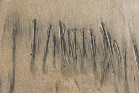 Abstract patterns on beach sand. , Guanacaste, Costa Rica.