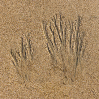 Abstract patterns on beach sand. , Guanacaste, Costa Rica.