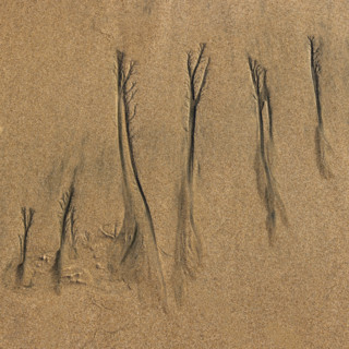 Abstract patterns on beach sand. , Guanacaste, Costa Rica.