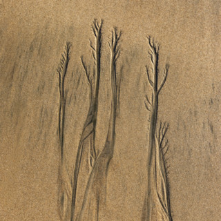 Abstract patterns on beach sand. , Guanacaste, Costa Rica.
