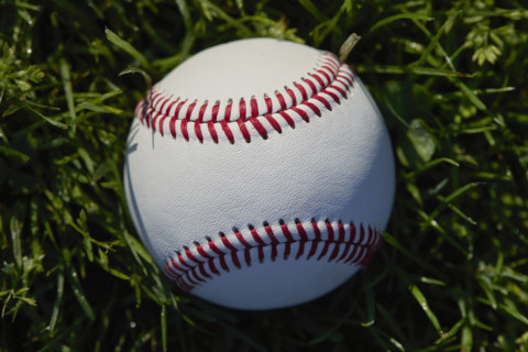 Close-up of baseball in grass. New York City, New York State, USA.